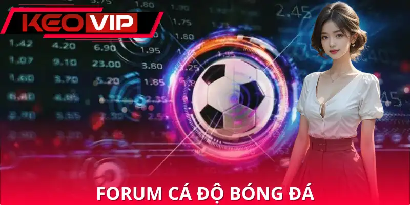 Forum Cá Độ Bóng Đá